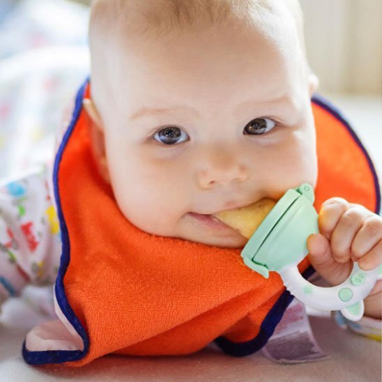 grignoteuse pour bebe